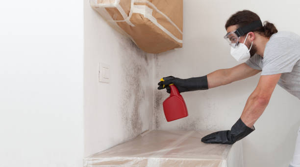 Professional Crawl Space Mold Removal technician working in White Hall, IL