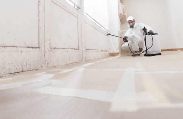 24/7 Emergency Crawl Space Mold Removal experts in White Hall, IL