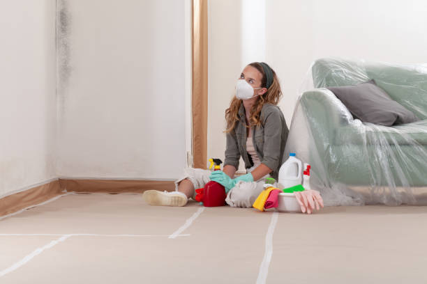 Reliable Crawl Space Mold Removal contractor in White Hall, IL by WQB Mold Removal