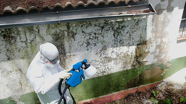 Top rated local Crawl Space Mold Removal specialists in White Hall, IL